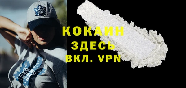 mdpv Богданович
