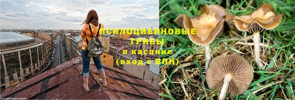 герыч Богородск