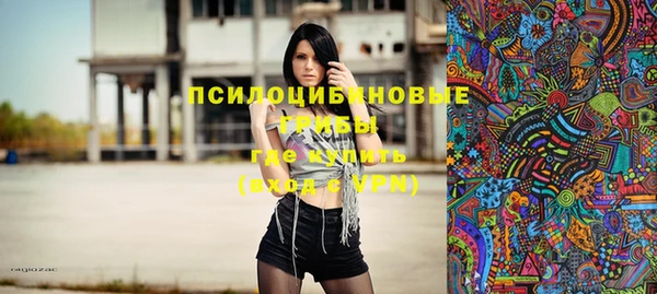 гашик Богородицк